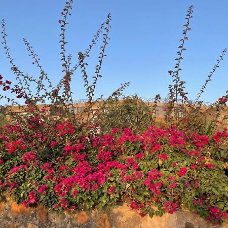 Gondar Hills Resort Exterior photo