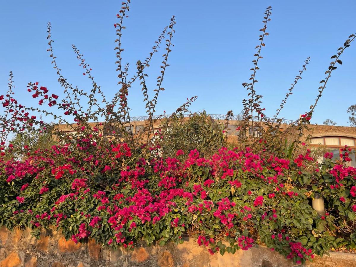 Gondar Hills Resort Exterior photo